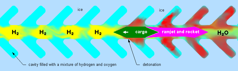 Middle compartment profile